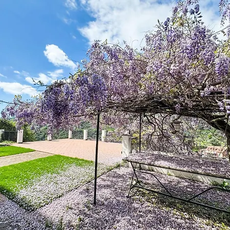 Villa La Vigna By Interhome