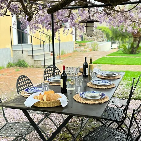 Villa La Vigna By Interhome Pontedassio
